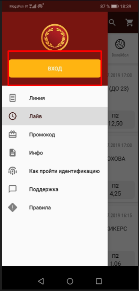 вход в программу