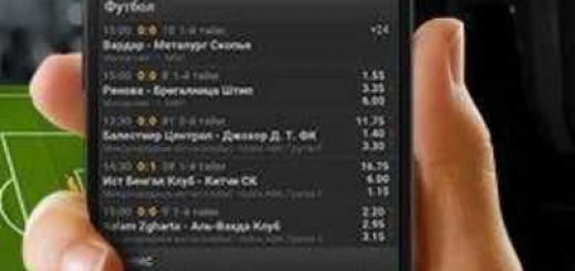 бк зенит телефон бесплатный бк зенит телефон бесплатный