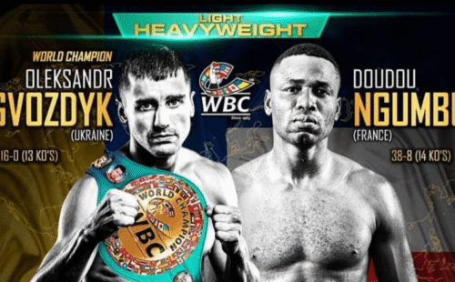 Александр Гвоздик – Нгумбу: прогноз на бой за титул WBC 31.03.19