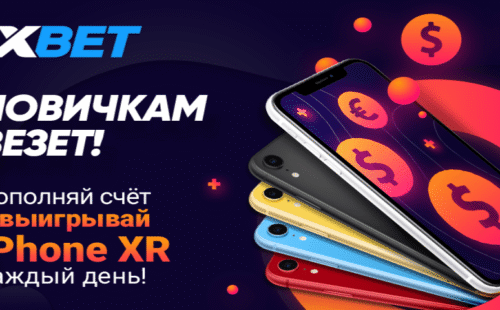 Для новичков в БК 1xbet стартовала выгодная акция