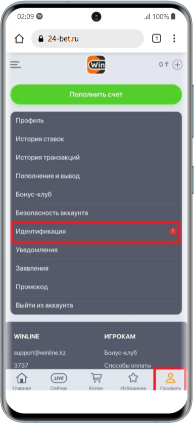 Верификация в приложении Винлайн