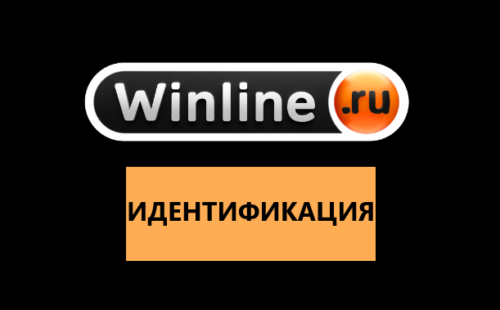 Как пройти верификацию и идентификацию в БК Winline