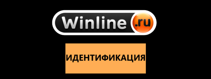 Как пройти верификацию и идентификацию в БК Winline