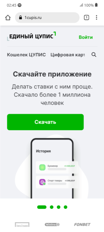 Верификация в приложении Тенниси