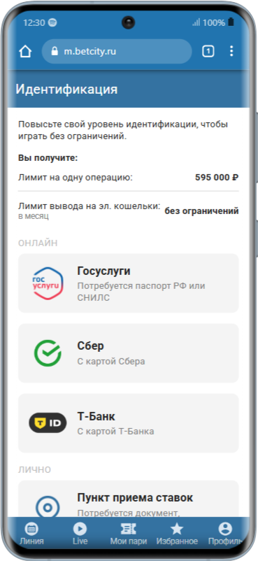 Верификация в приложении Бетсити