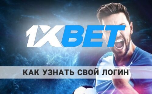 Как узнать свой логин 1xbet: инструкция от 24-bet