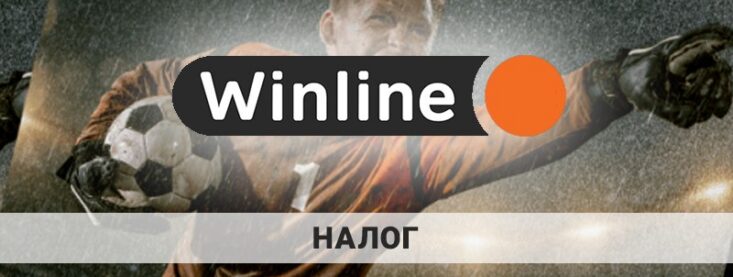 Winline налог: когда и почему его нужно уплачивать