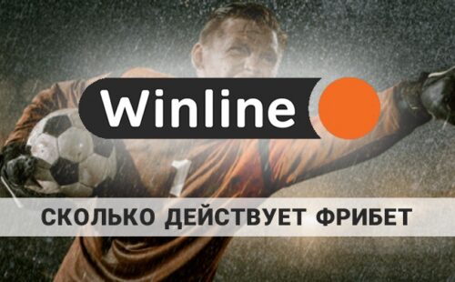 Сколько действует фрибет в Winline: время и правила отыгрыша