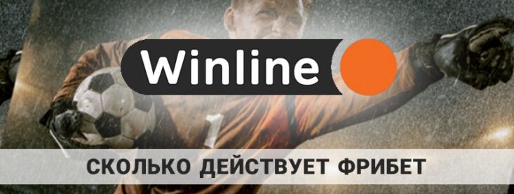 Сколько действует фрибет в Winline: время и правила отыгрыша