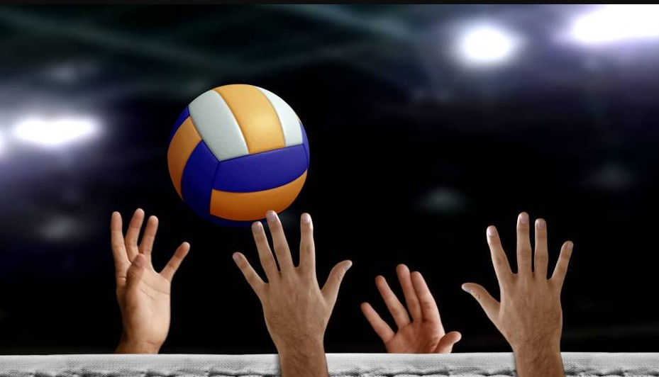 Стратегии ставок на волейбол: как выбрать самые прибыльные