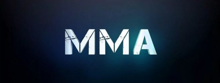 Live-ставки на MMA: на что нужно обращать внимание