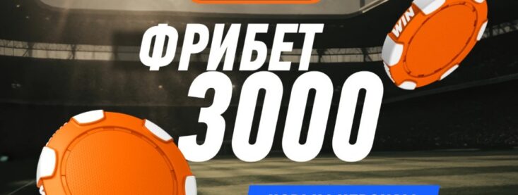 Бесплатные ставки: что это такое