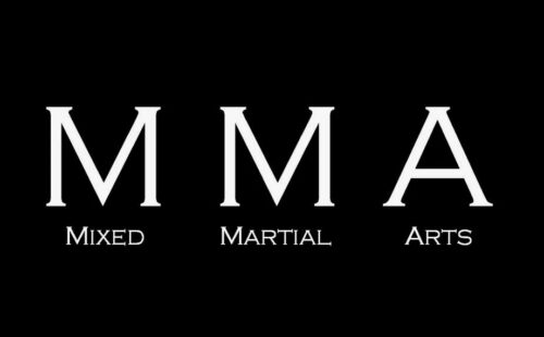 Ставки на ММА: как правильно анализировать поединки