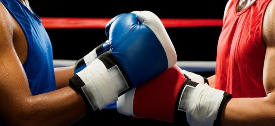 Live-ставки на бокс: на что нужно обращать внимание