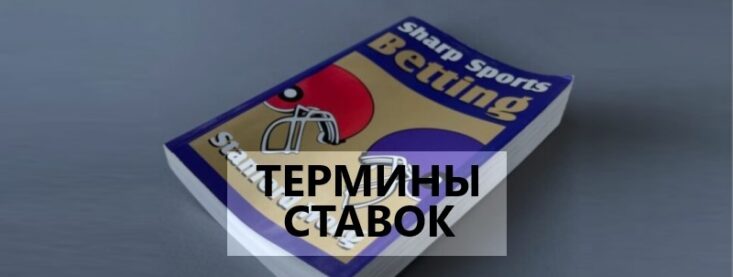 Термины в ставках на спорт — терминология и расшифровка для новичков