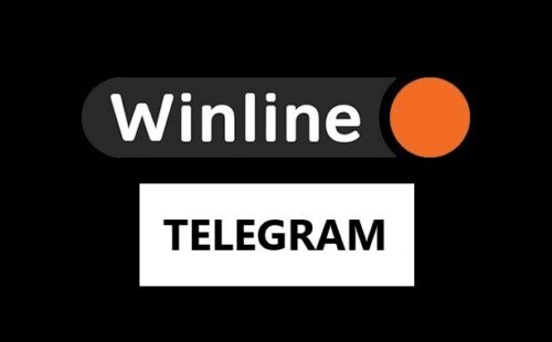 Обзор телеграмм канала Winline: все, что вам нужно знать