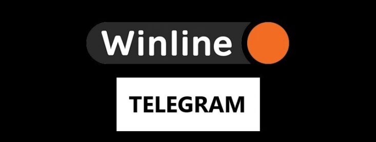 Обзор телеграмм канала Winline: все, что вам нужно знать