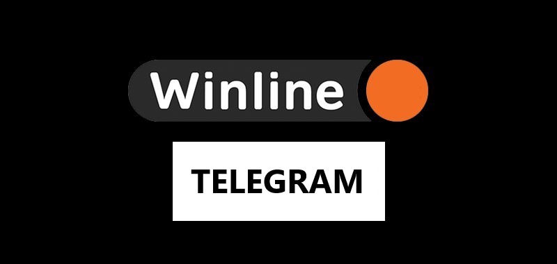Обзор телеграмм канала Winline: все, что вам нужно знать