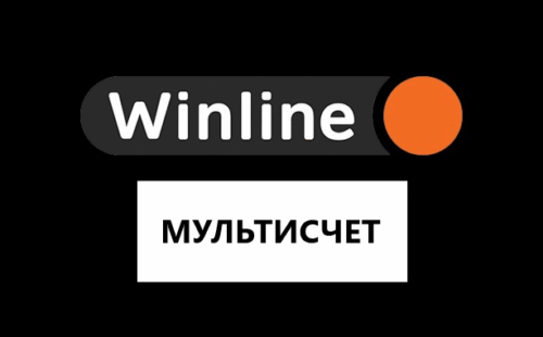 Что такое мультисчет в Винлайн
