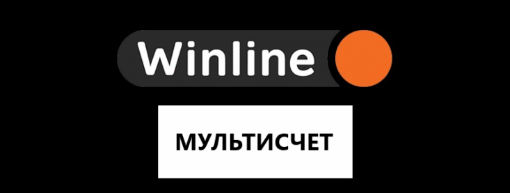 Что такое мультисчет в Винлайн