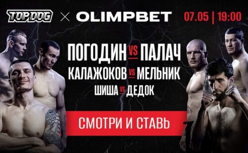 Olimpbet поощрит победителей Top Dog 20