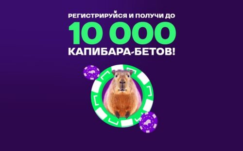 Лига ставок предлагает 10 тысяч капибаробетов новичкам