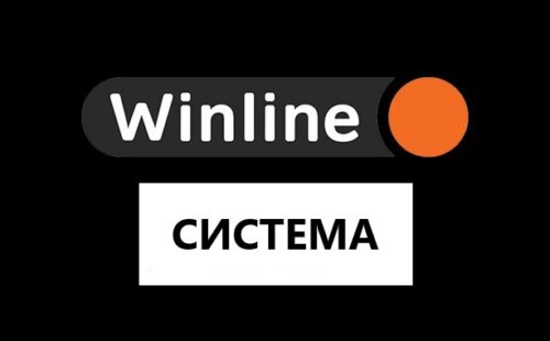 Что такое система в Винлайн и как она работает