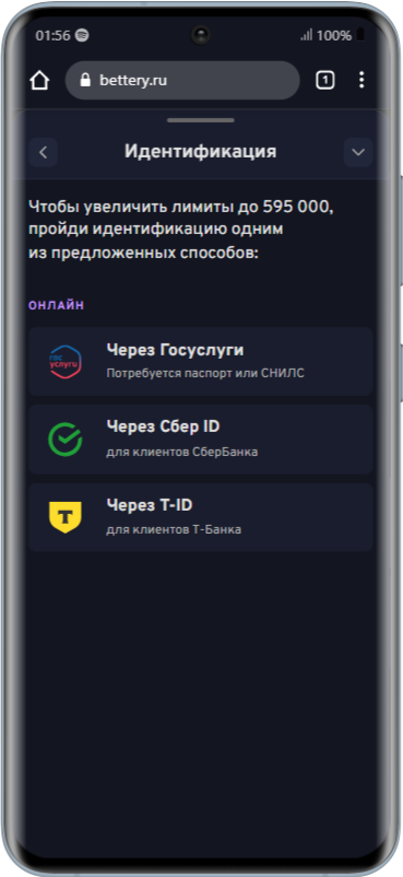 Верификация в приложении Беттери