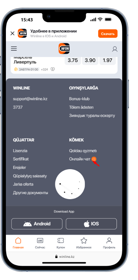 служба поддержки