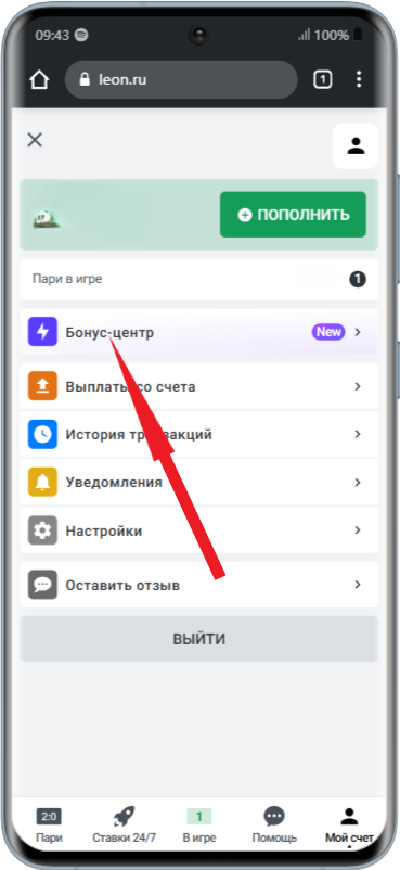 Верификация в приложении Леон