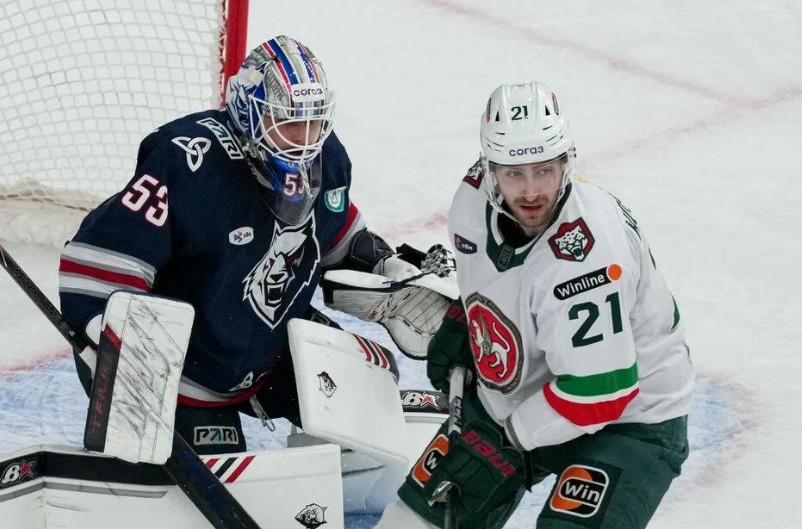 Нефтехимик — Ак Барс  прогноз на матч 10 ноября 2025