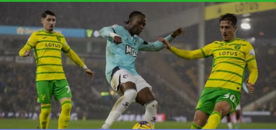 Норвич — Уотфорд прогноз на матч 29 декабря 2025