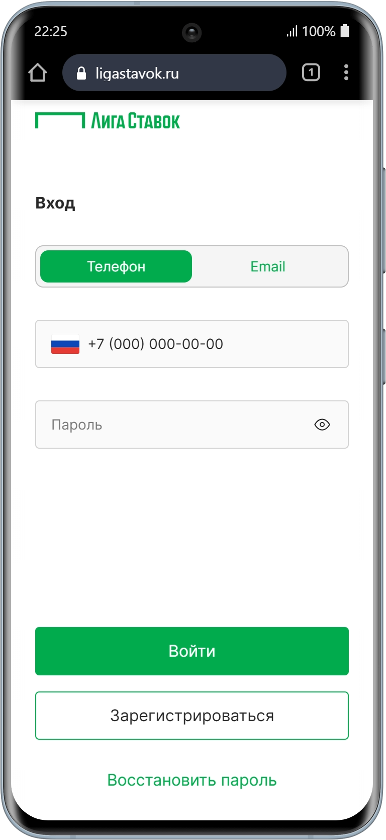 Авторизация в БК Лига Ставок