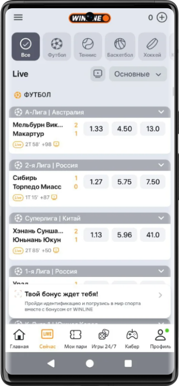Как делать ставки в Винлайн