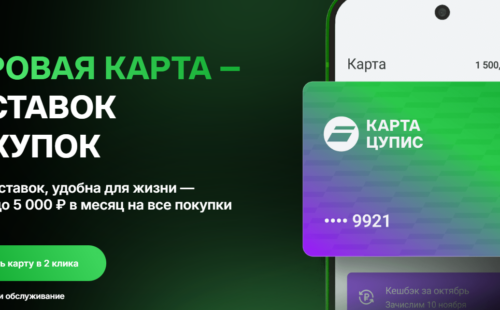 Как закрыть цифровую карту ЦУПИС самостоятельно