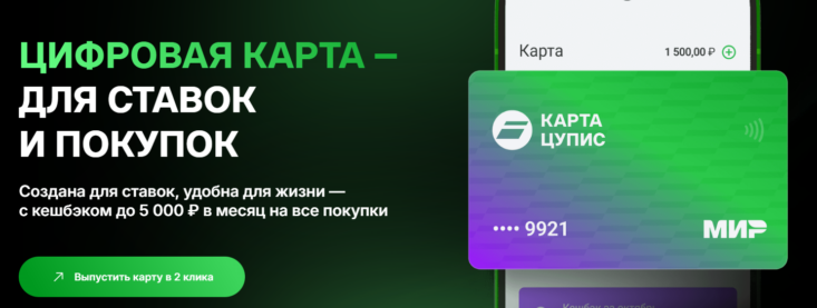 Как закрыть цифровую карту ЦУПИС самостоятельно