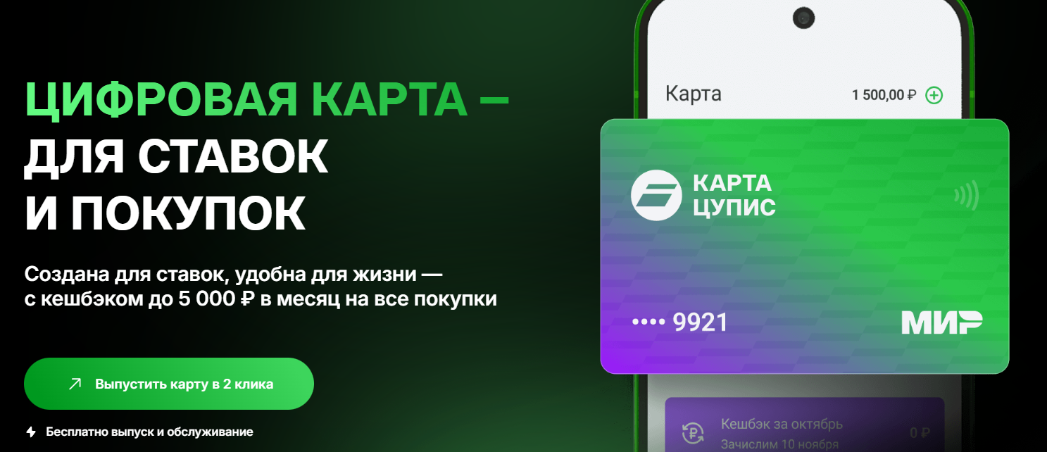 ЦИФРОВАЯ КАРТА цупис