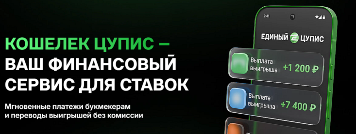 Как разблокировать аккаунт, кошелек и карту ЦУПИС