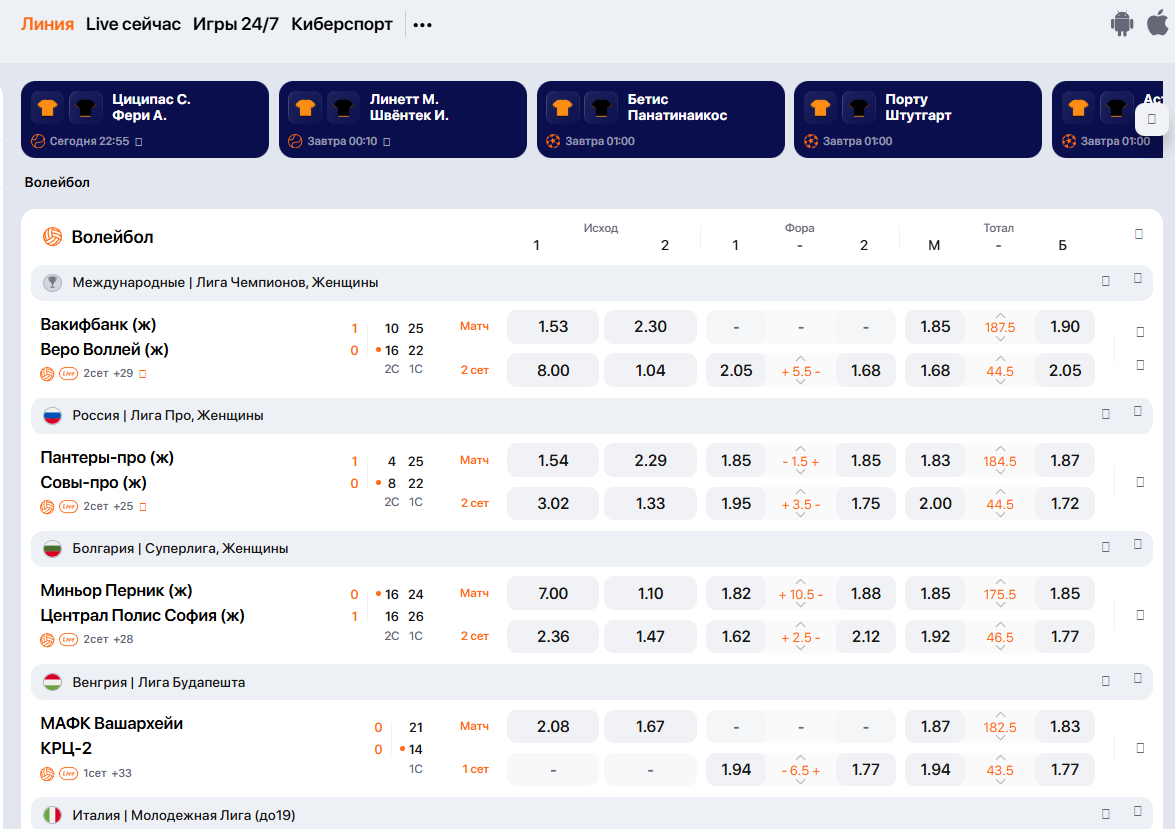 волейбол ставки