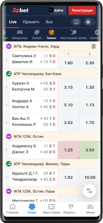 Сделать ставку в 24 бет