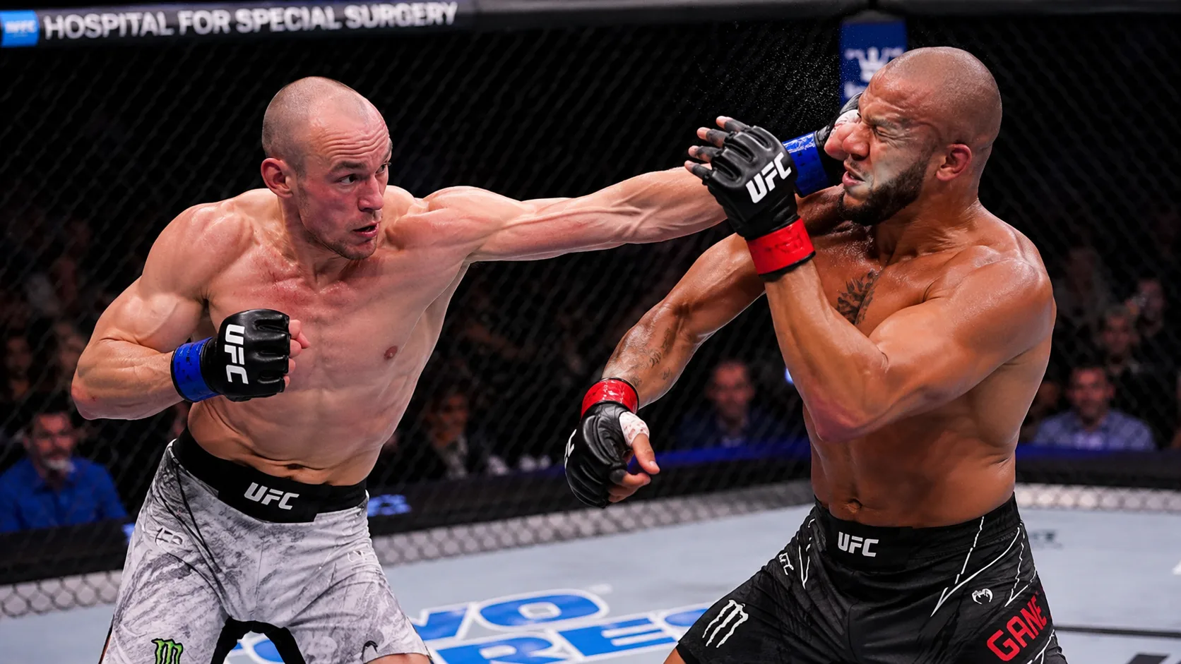 Урош Медич — Даниэль Родригез прогноз на бой UFC 1 августа 2026 года